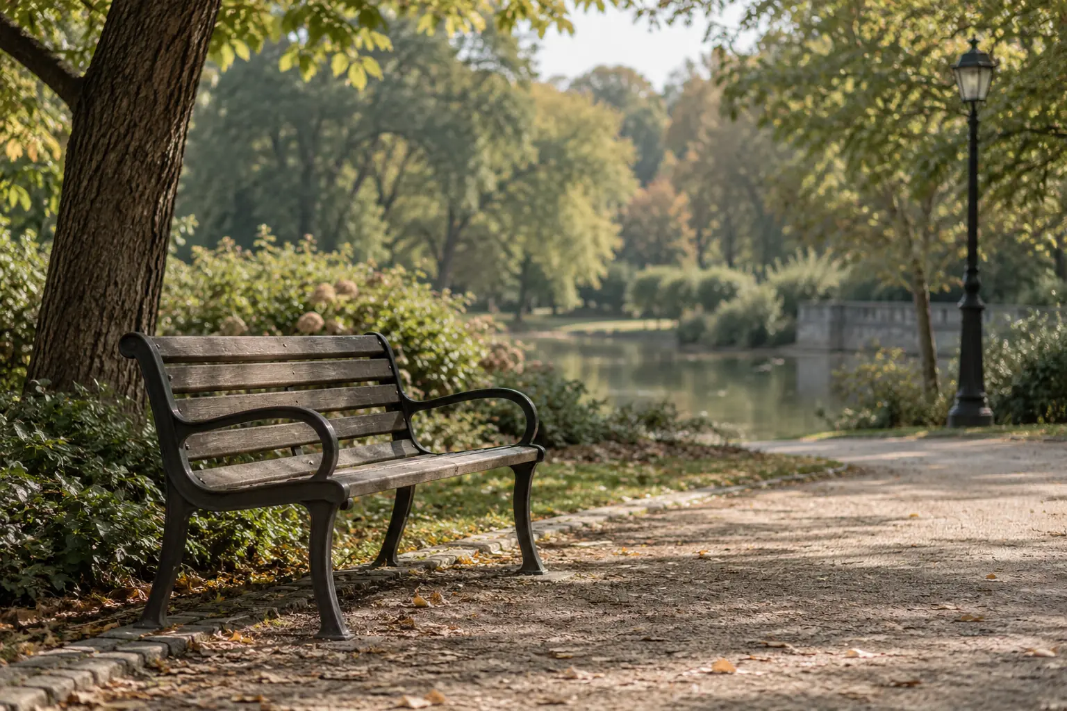 An empty park bench beside a tree-lined path in warm afternoon light